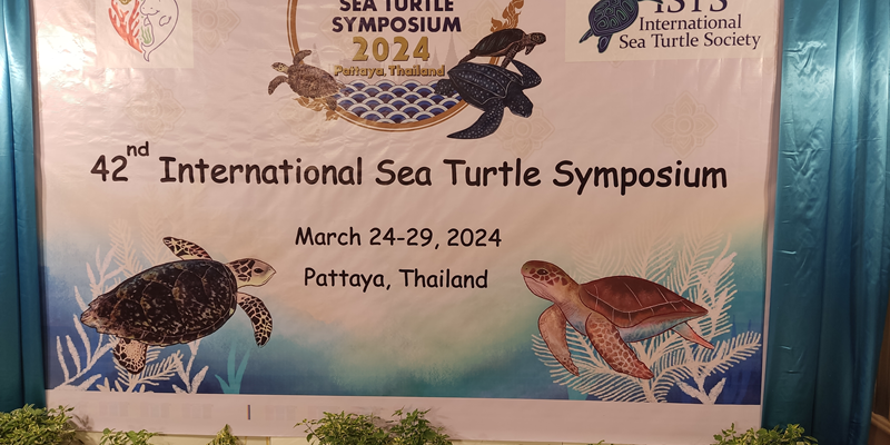 QECI's Participation at the 42nd International Sea Turtle Symposium