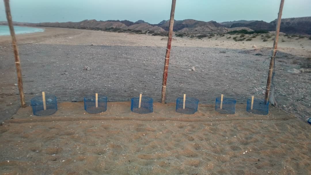 Taking direct actions