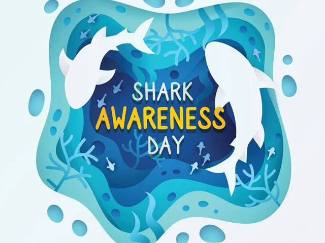 QECI and Shark Awareness Day 2022